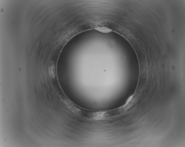 X0000069390090200605150954