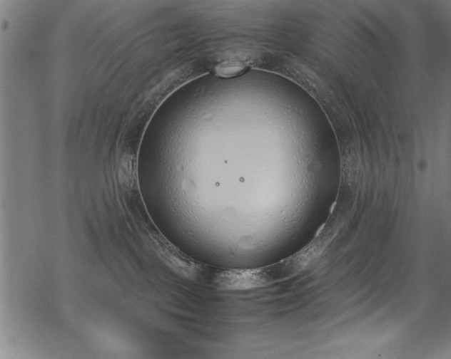 X0000069390093200605150954