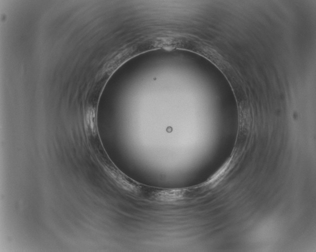 X0000069390094200605150954