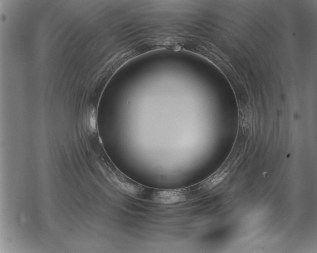 X0000069390095200605150954