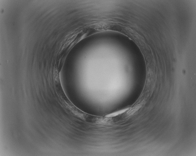 X0000069390096200605150954