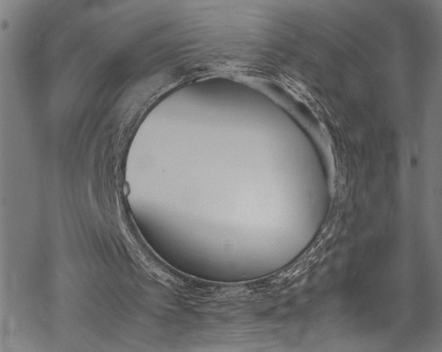 X0000069390097200605150953