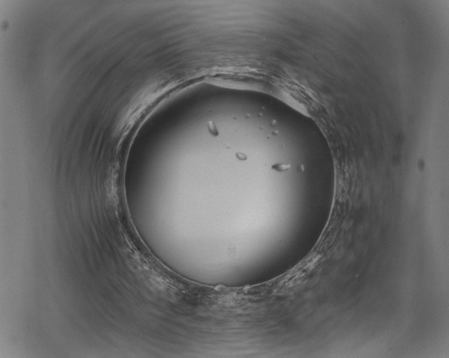 X0000069390098200605150953