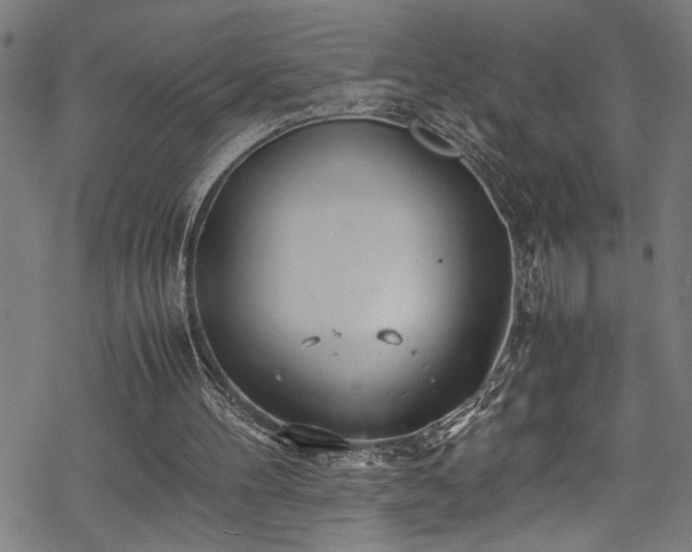 X0000069390100200605150953