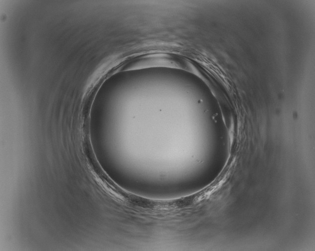 X0000069390101200605150953