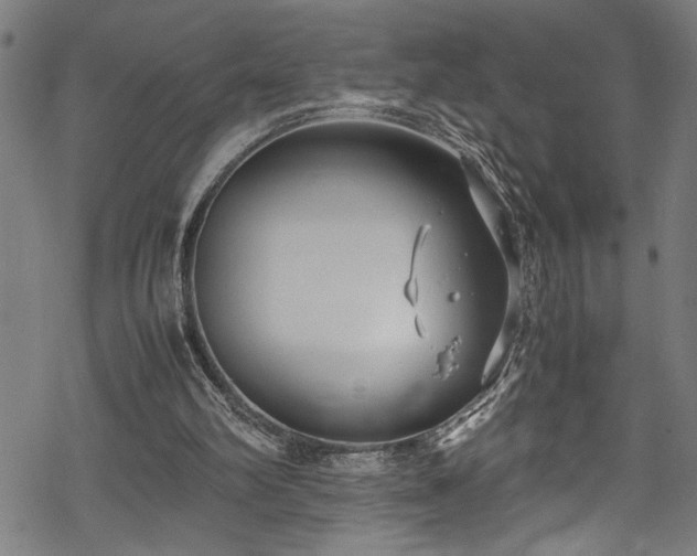 X0000069390102200605150953