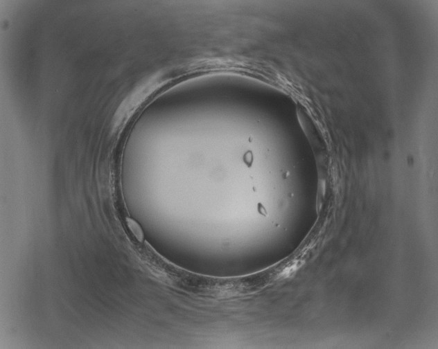 X0000069390103200605150953