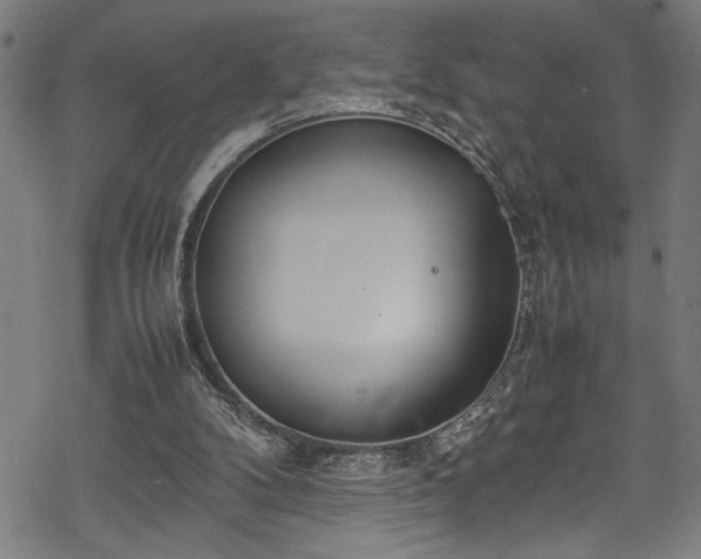 X0000069390104200605150953