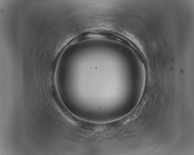 X0000069390105200605150953