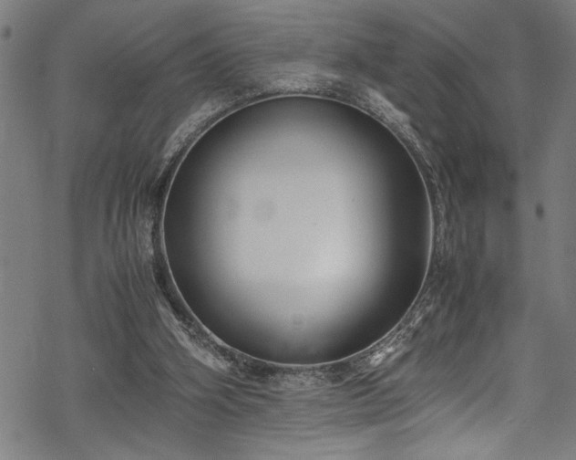 X0000069390106200605150953