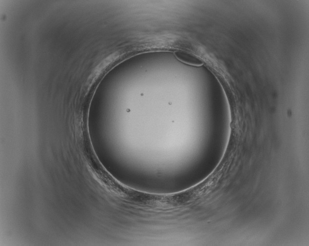 X0000069390107200605150953