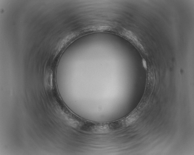 X0000069390110200605150953