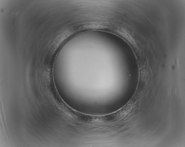 X0000069390111200605150953