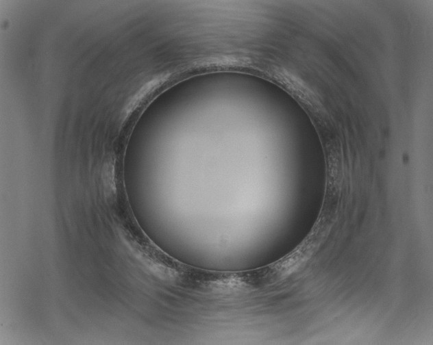 X0000069390112200605150953