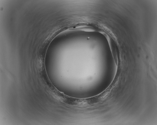 X0000069390113200605150953