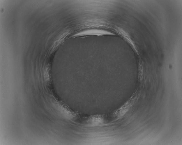 X0000069390114200605150953