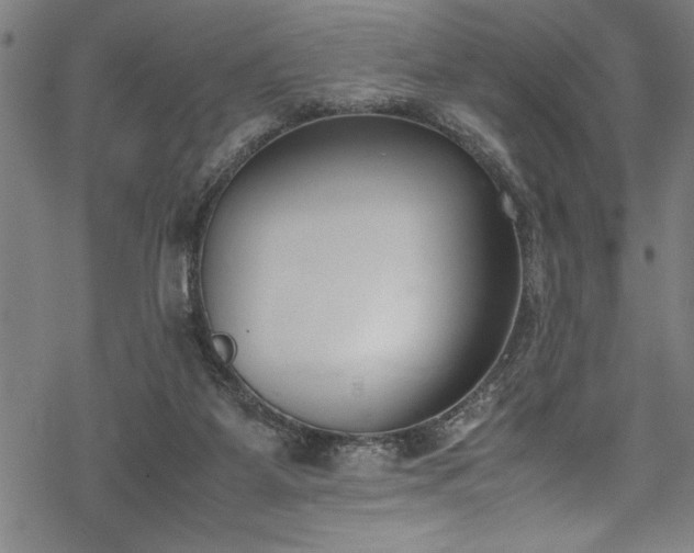 X0000069390115200605150953