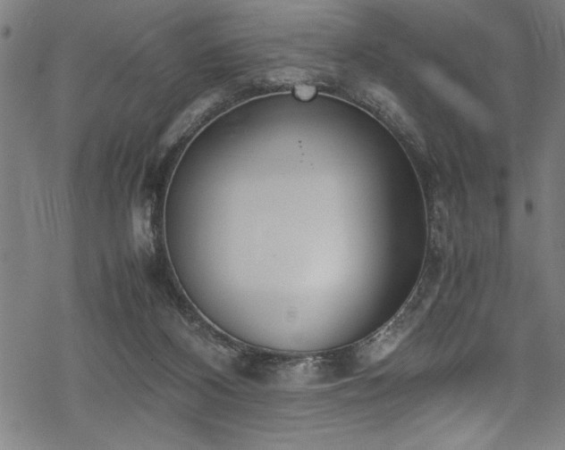 X0000069390116200605150953