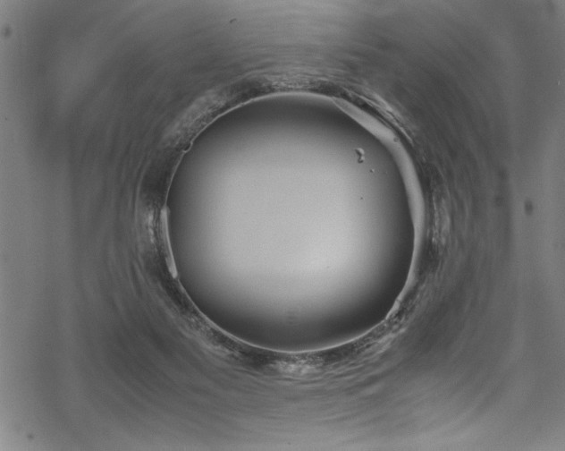 X0000069390117200605150953