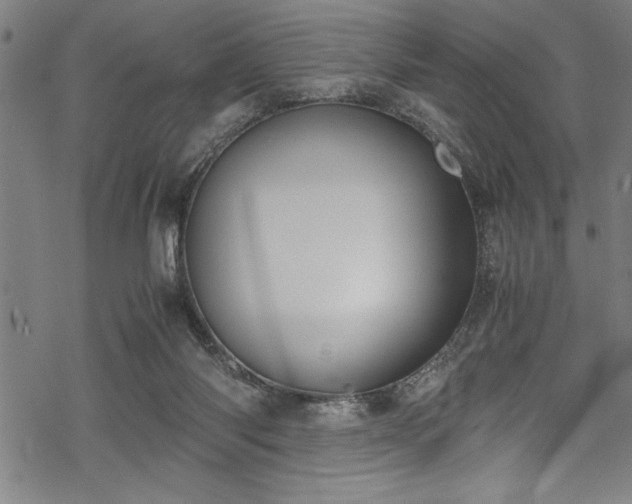 X0000069390118200605150953