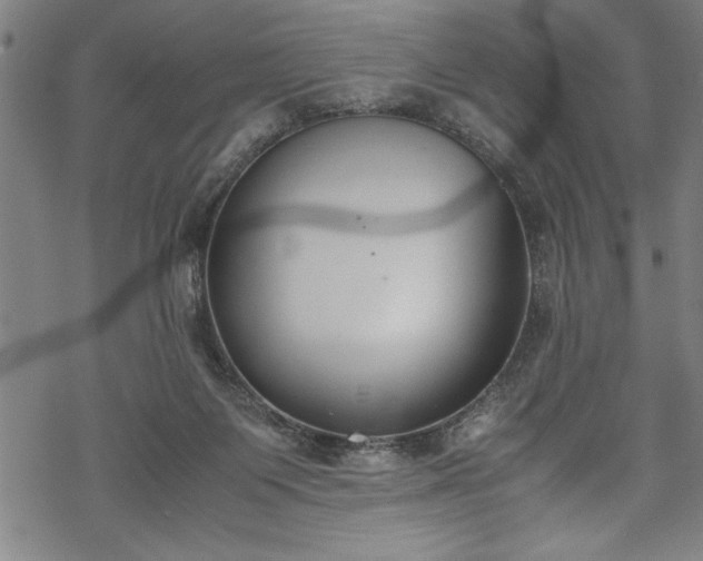 X0000069390119200605150953