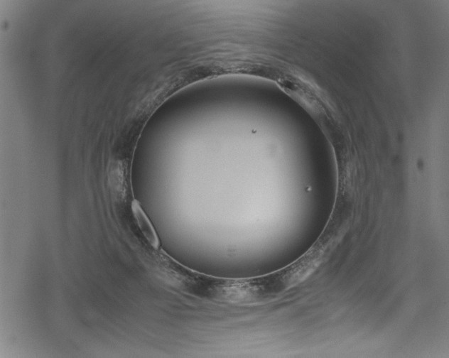 X0000069390121200605150953