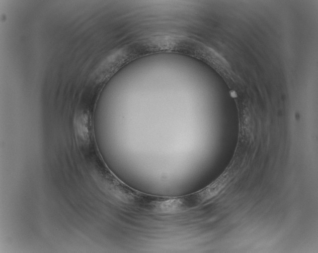 X0000069390122200605150953