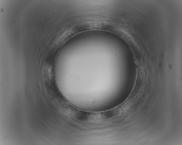 X0000069390123200605150953