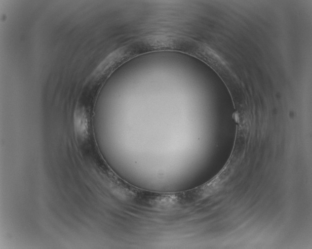 X0000069390124200605150953