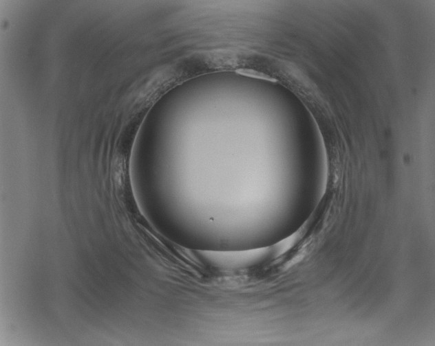 X0000069390125200605150953