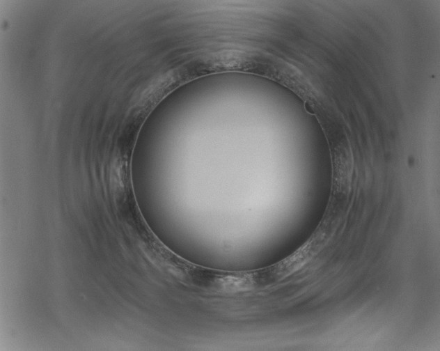 X0000069390126200605150953