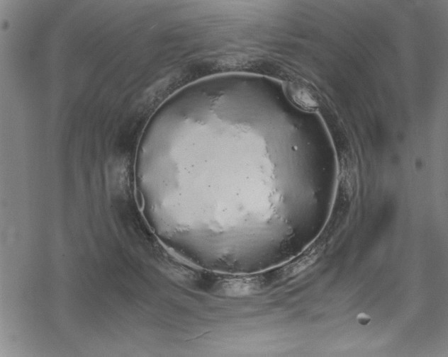 X0000069390127200605150953