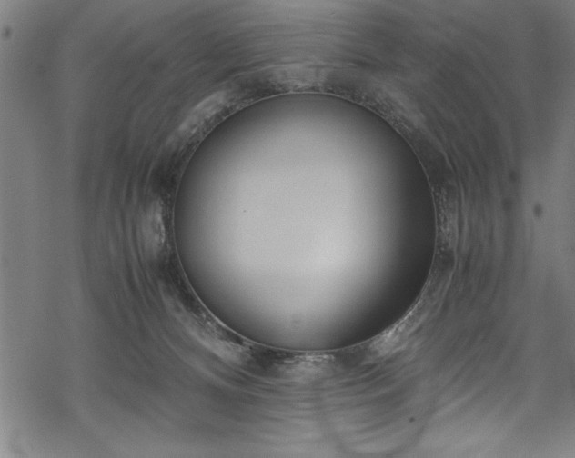 X0000069390128200605150953