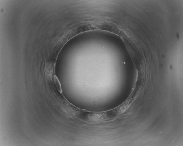 X0000069390129200605150953