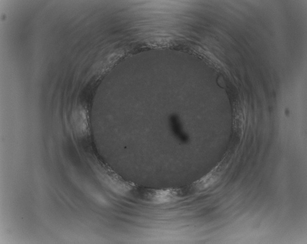 X0000069390130200605150953