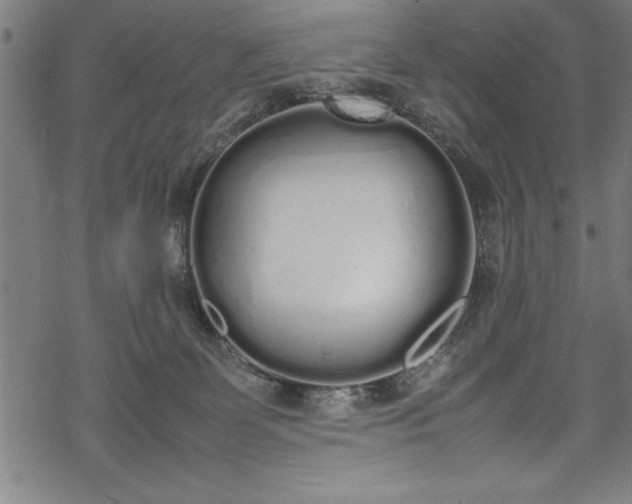 X0000069390131200605150953