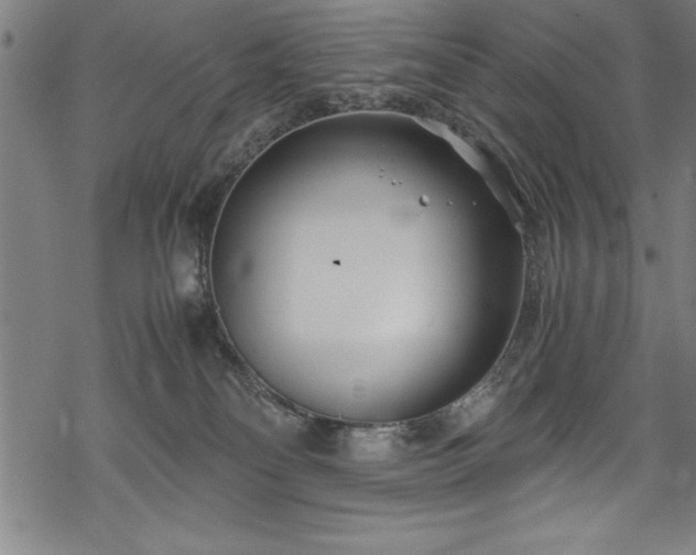 X0000069390134200605150953