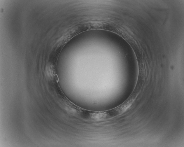 X0000069390135200605150953