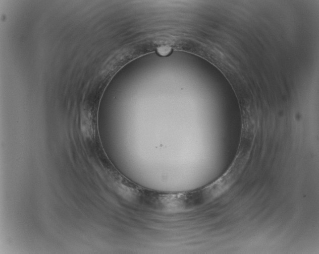 X0000069390136200605150953