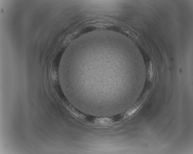 X0000069390137200605150953