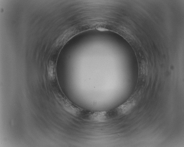 X0000069390138200605150953