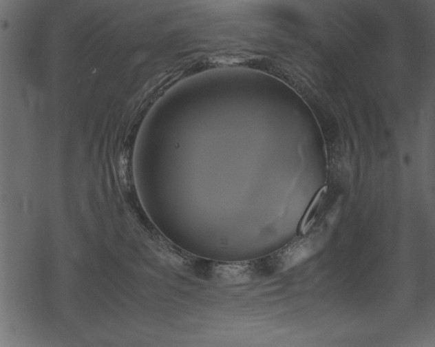 X0000069390139200605150953