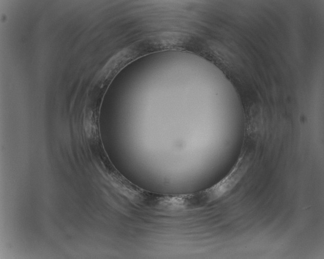 X0000069390140200605150953