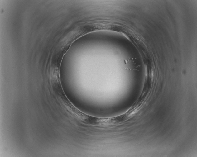 X0000069390141200605150953