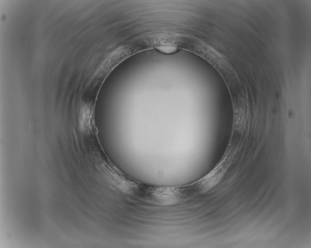 X0000069390142200605150953