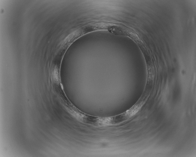 X0000069390143200605150953