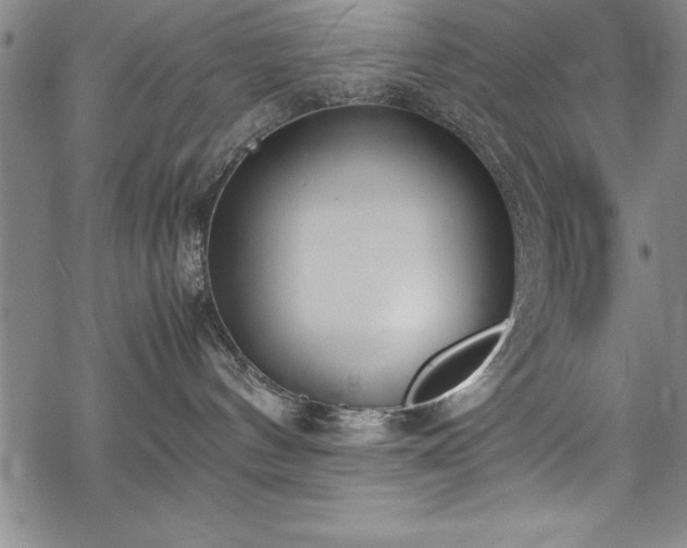 X0000069390144200605150953