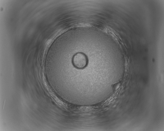 X0000069390145200605150952