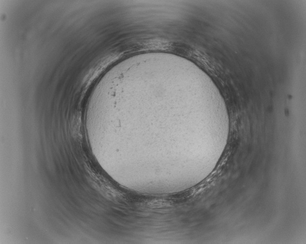 X0000069390146200605150952