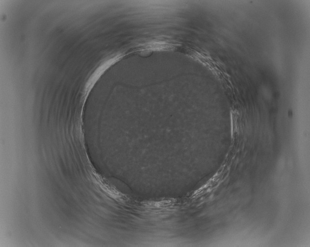 X0000069390147200605150952